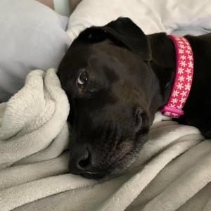 Meet your Posher, Lori